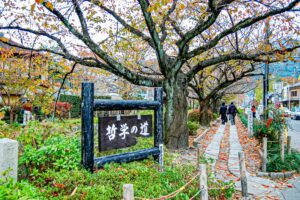 京都の銀閣寺へ貸切バスで行こう！バスはどこに駐車する？徹底解説